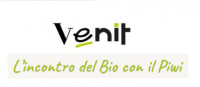 Venit Wine - Friuli