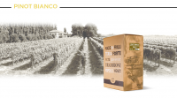 PINOT BIANCO FOTO