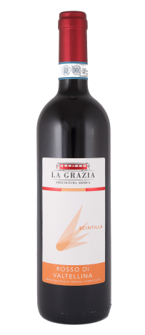 ROSSO DI VALTELLINA scintilla