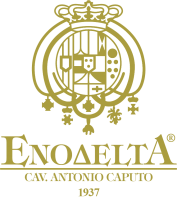 Enodelta Campania