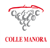 Azienda Agricola Colle Manora - Piemonte